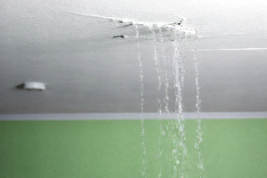 Roof Leak Repair Canton, GA 1