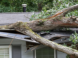 Storm Damaged Roof Canton, GA 2
