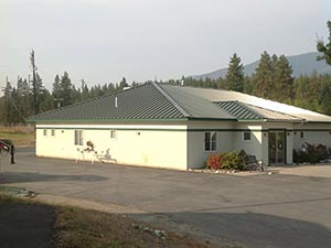 Metal Roofing Canton, GA 1