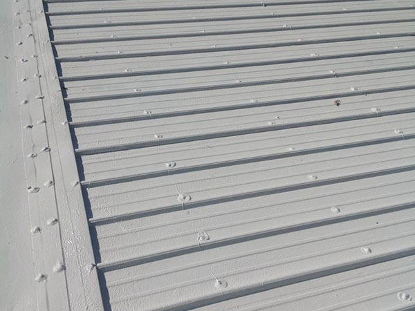 Metal-Roof-Repair-Canton-GA-Georgia-1 | Rise Residential Roofing Metal Roof Repair Canton, GA 2