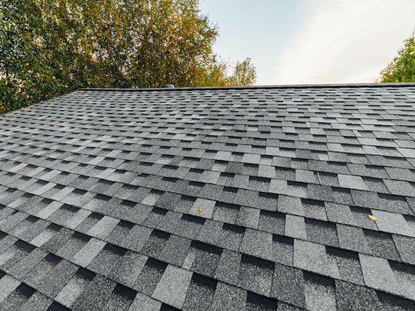 Re-Roof-Cartersville-GA-Georgia-1 | Rise Residential Roofing