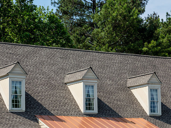 Roof-Inspection-Cartersville-GA-Georgia-1 | Rise Residential Roofing